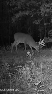 Legacy Waterfowl Hunting in the Mississippi Delta - image 21