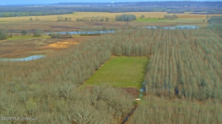 Legacy Waterfowl Hunting in the Mississippi Delta - image 34