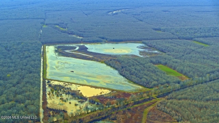 Legacy Waterfowl Hunting in the Mississippi Delta - image 33