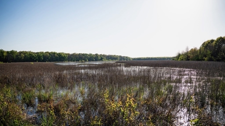 Legacy Waterfowl Hunting in the Mississippi Delta - image 14