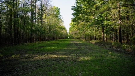 Legacy Waterfowl Hunting in the Mississippi Delta - image 24
