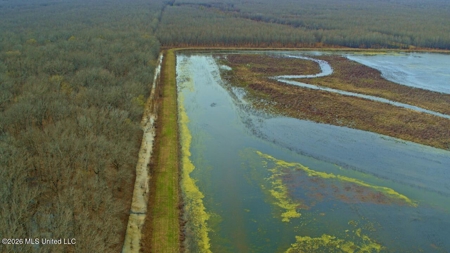 Legacy Waterfowl Hunting in the Mississippi Delta - image 27