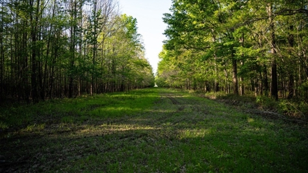 Legacy Waterfowl Hunting in the Mississippi Delta - image 9