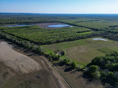 Legacy Waterfowl Hunting in the Mississippi Delta - image 6