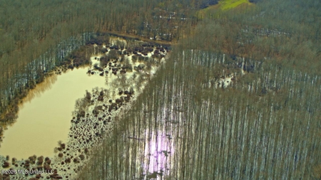Legacy Waterfowl Hunting in the Mississippi Delta - image 35