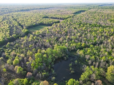 Legacy Waterfowl Hunting in the Mississippi Delta - image 7