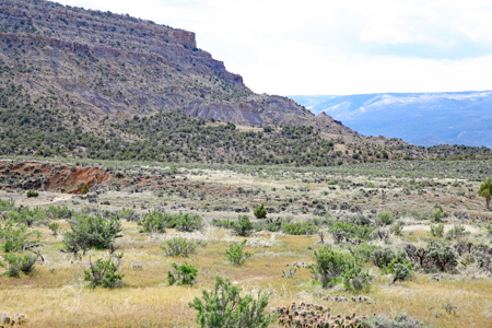 Vacant Land For Sale Bordering Public Land, BLM in Colorado - image 5