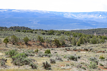 Vacant Land For Sale Bordering Public Land, BLM in Colorado - image 20