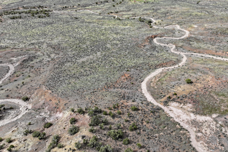Vacant Land For Sale Bordering Public Land, BLM in Colorado - image 8