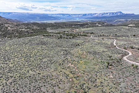 Vacant Land For Sale Bordering Public Land, BLM in Colorado - image 3