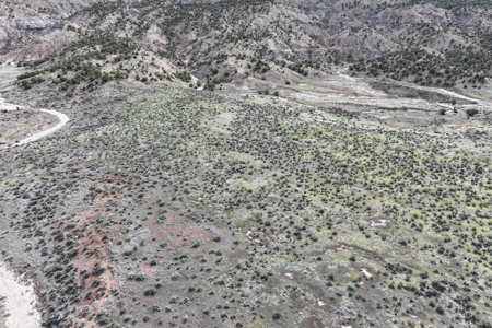 Vacant Land For Sale Bordering Public Land, BLM in Colorado - image 19