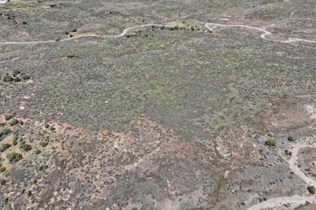 Vacant Land For Sale Bordering Public Land, BLM in Colorado - image 9