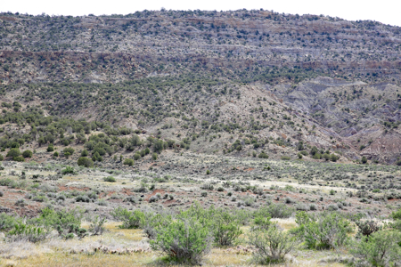Vacant Land For Sale Bordering Public Land, BLM in Colorado - image 10