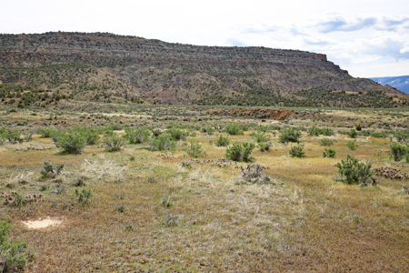 Vacant Land For Sale Bordering Public Land, BLM in Colorado - image 22
