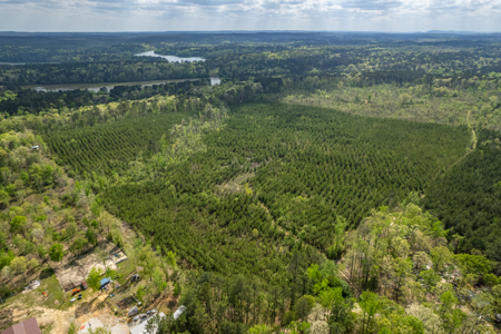 Timber land boarding Lake Degray - image 2