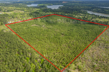 Timber land boarding Lake Degray - image 1