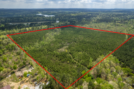 Timber land boarding Lake Degray - image 3