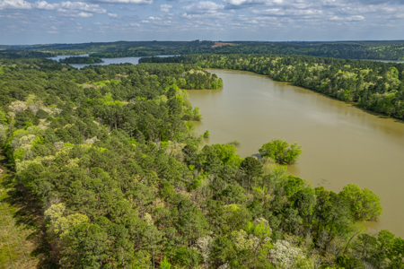 Timber land boarding Lake Degray - image 5