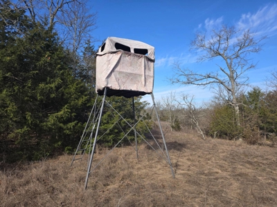 Hunting Land with Creek and Pond for Sale in Oleta, Oklahoma - image 33