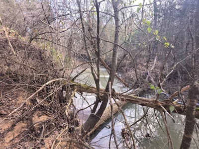 Hunting Land with Creek and Pond for Sale in Oleta, Oklahoma - image 36