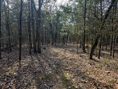 Hunting Land with Creek and Pond for Sale in Oleta, Oklahoma - image 31