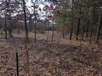Hunting Land with Creek and Pond for Sale in Oleta, Oklahoma - image 25