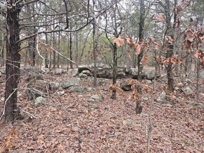 Hunting Land with Creek and Pond for Sale in Oleta, Oklahoma - image 45
