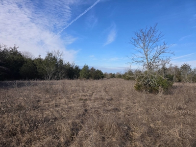 Hunting Land with Creek and Pond for Sale in Oleta, Oklahoma - image 23