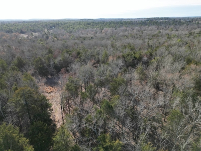Hunting Land with Creek and Pond for Sale in Oleta, Oklahoma - image 6
