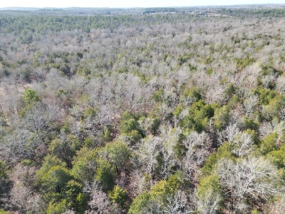 Hunting Land with Creek and Pond for Sale in Oleta, Oklahoma - image 4