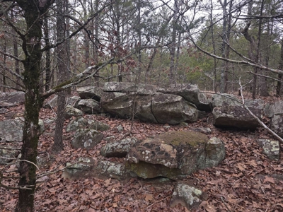 Hunting Land with Creek and Pond for Sale in Oleta, Oklahoma - image 41