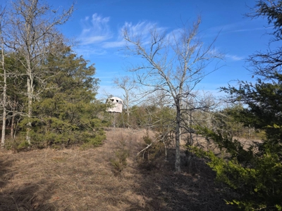 Hunting Land with Creek and Pond for Sale in Oleta, Oklahoma - image 30