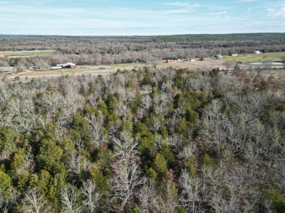 Hunting Land with Creek and Pond for Sale in Oleta, Oklahoma - image 3