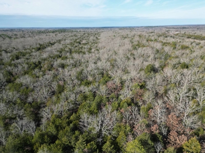 Hunting Land with Creek and Pond for Sale in Oleta, Oklahoma - image 2