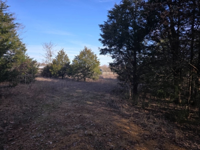 Hunting Land with Creek and Pond for Sale in Oleta, Oklahoma - image 21