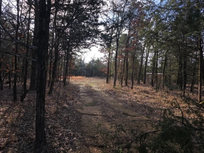Hunting Land with Creek and Pond for Sale in Oleta, Oklahoma - image 15