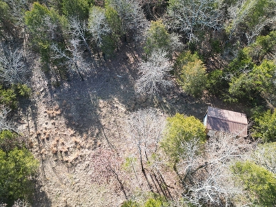 Hunting Land with Creek and Pond for Sale in Oleta, Oklahoma - image 9