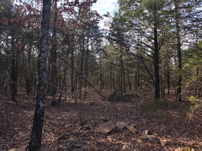 Hunting Land with Creek and Pond for Sale in Oleta, Oklahoma - image 22