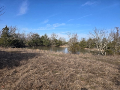 Hunting Land with Creek and Pond for Sale in Oleta, Oklahoma - image 24