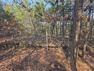 Hunting Land with Creek and Pond for Sale in Oleta, Oklahoma - image 28