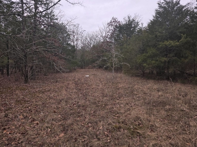 Hunting Land with Creek and Pond for Sale in Oleta, Oklahoma - image 40