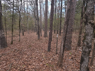 Hunting Land with Creek and Pond for Sale in Oleta, Oklahoma - image 43