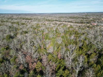 Hunting Land with Creek and Pond for Sale in Oleta, Oklahoma - image 1
