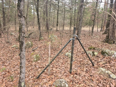Hunting Land with Creek and Pond for Sale in Oleta, Oklahoma - image 42