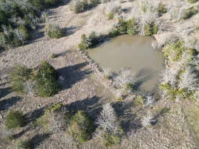 Hunting Land with Creek and Pond for Sale in Oleta, Oklahoma - image 8