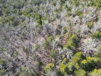 Hunting Land with Creek and Pond for Sale in Oleta, Oklahoma - image 5