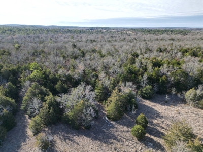 Hunting Land with Creek and Pond for Sale in Oleta, Oklahoma - image 13