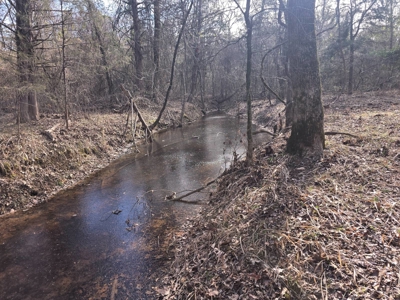 Hunting Land with Creek and Pond for Sale in Oleta, Oklahoma - image 32