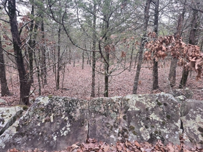 Hunting Land with Creek and Pond for Sale in Oleta, Oklahoma - image 39