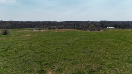 Dekalb County MO - 20+/- Acres, 10 Acres or Even 5 Acre Home Site - image 12
